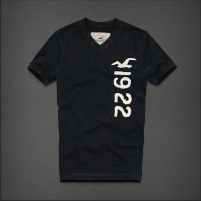 Hollister Men Shirts-411